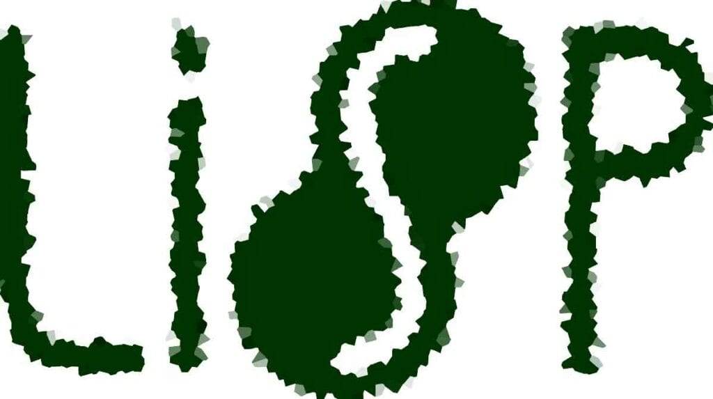 In the Lab: LISP