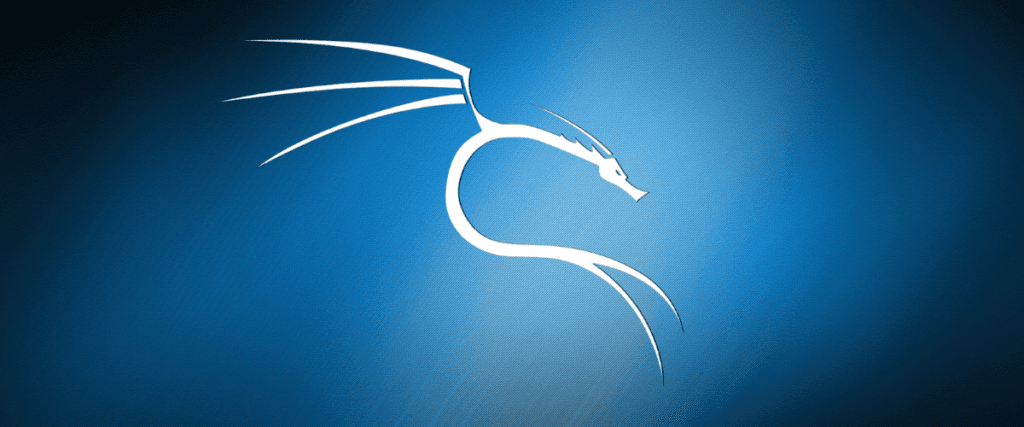 Представлен Kali Linux для Raspberry Pi 4, информационная безопасность после колледжа Москва
