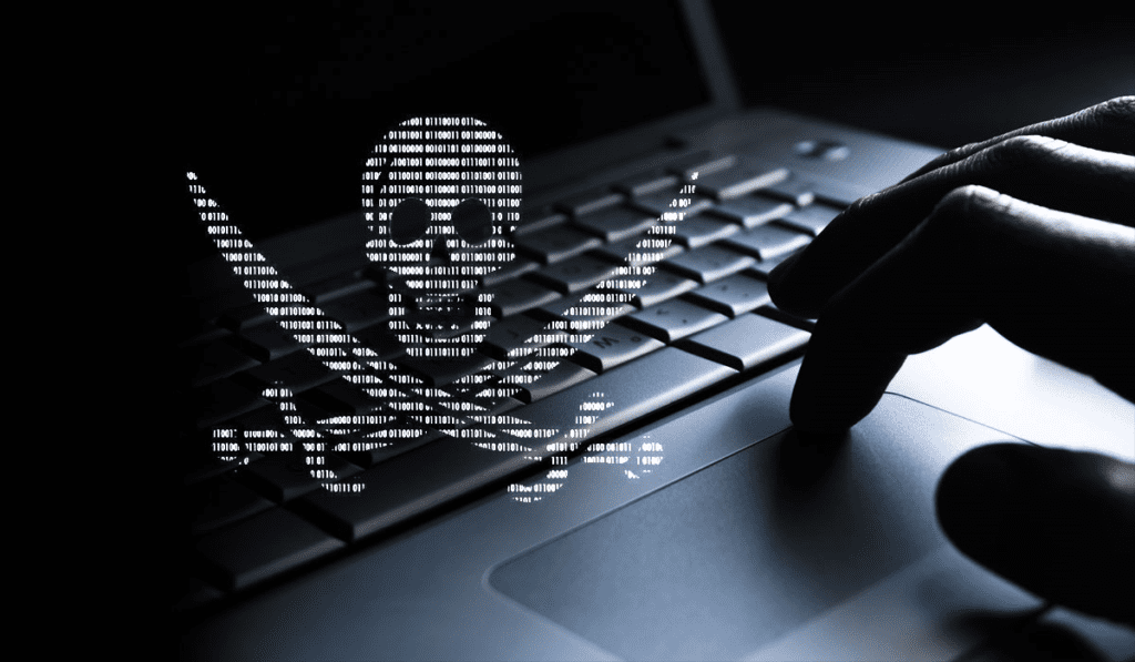 Очень маленький процент пользователей выбирает легальный контент, специалист по защите информации резюме Нижний Новгород