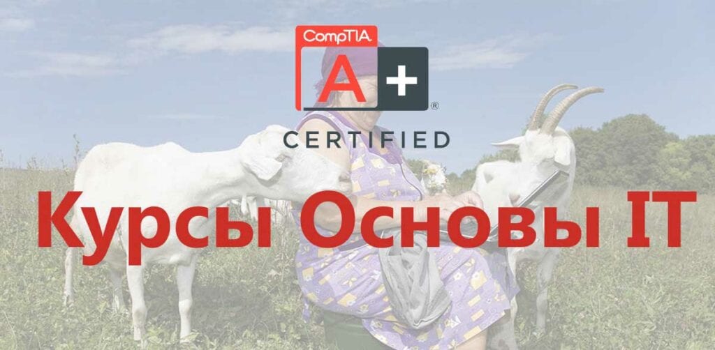 Курсы системного администратора: обучение с нуля до сисадмина. Основы IТ, курс IT Essentials