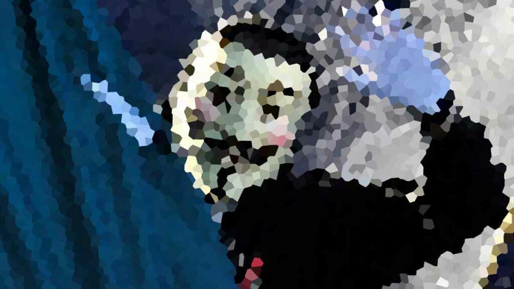 Помощники Украины — Anonymous — продолжают взламывать ИТ-инфраструктуру РФ, курс безопасность информационных технологий Алматы