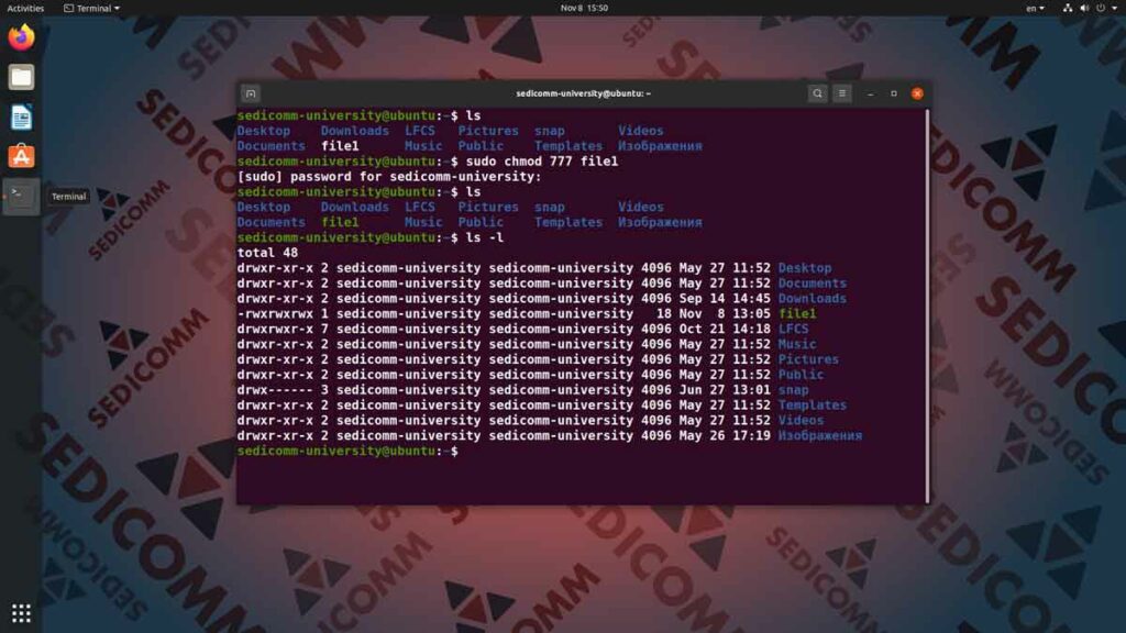 Как увидеть список файлов в каталоге Линукс, основы Linux курс Бишкек