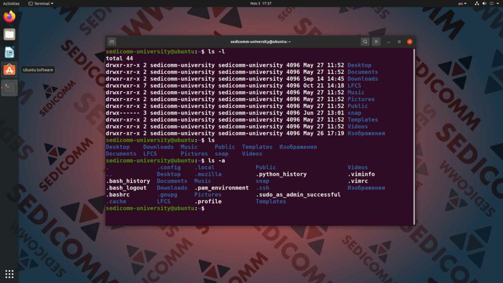 С чего начать путь в ИТ — онлайн-курсы основы Linux курс Краков
