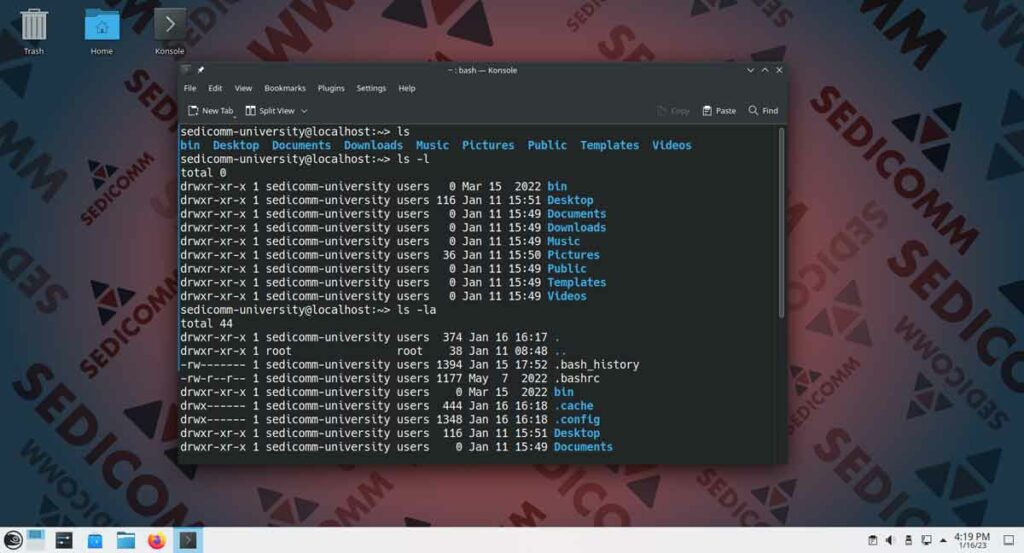 Примеры использования утилиты ls, специалист курс Linux Баку
