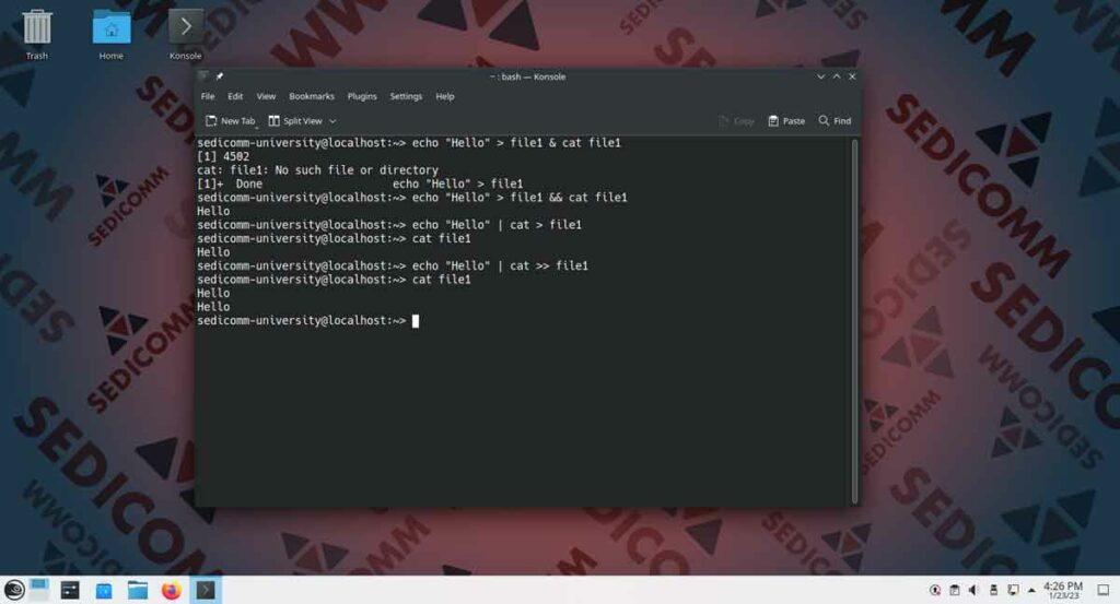 Специальные символы в Linux — часть 2, курсы Linux Клайпеда