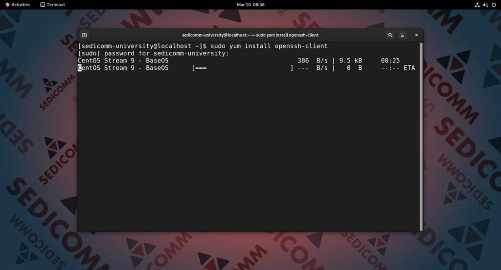 Основы Linux для программируемых сетей и систем — как устанавливать программы, DevOps / DevNet инженер курсы Рига