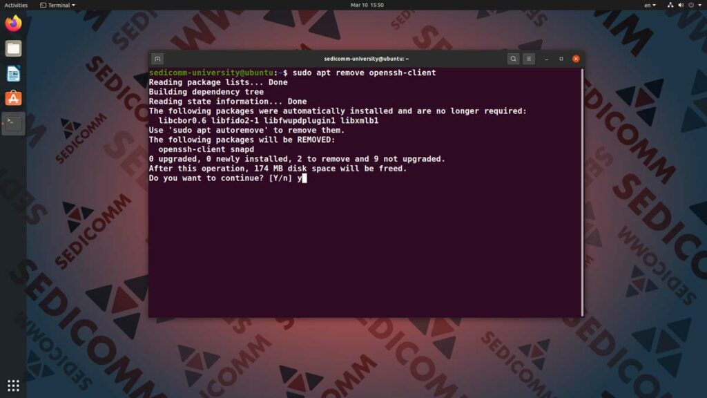 Основы Linux для программируемых сетей и систем — удаление программ в Линукс, DevNet / DevOps курсы бесплатно Тарту