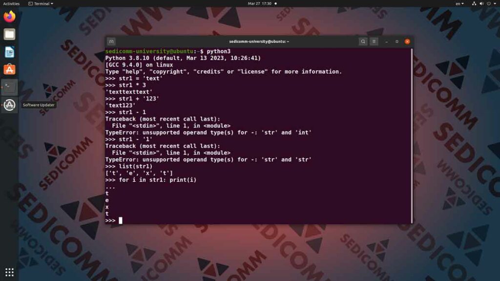 Основы Python для программируемых сетей и систем — работы со строками, DevNet / DevOps курсы бесплатно Таллин