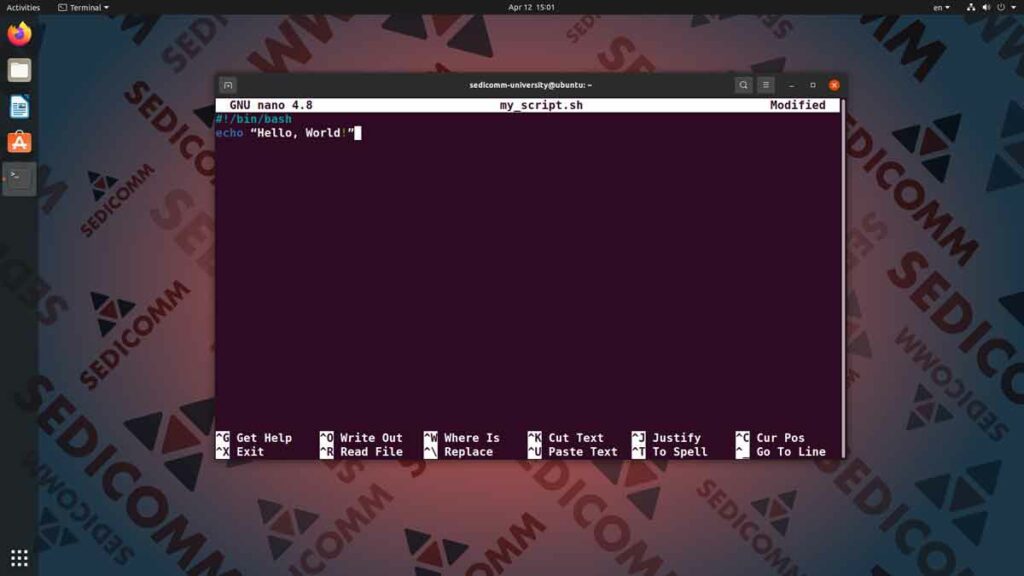 Как создать сценарий оболочки Линукс (скрипт), операционная система Linux курс лекций Душанбе
