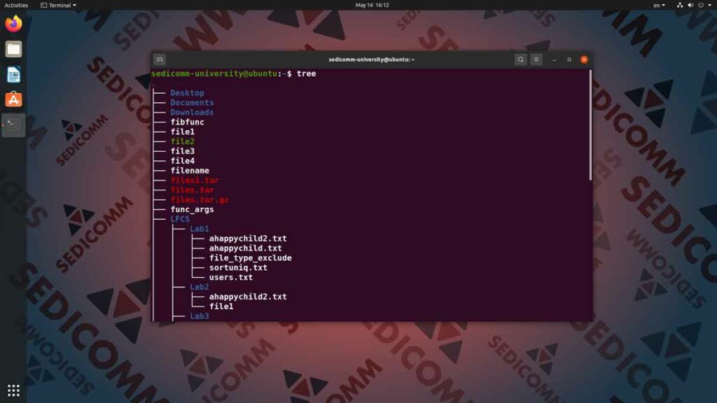 Как увидеть структуру файловой системы в Линукс, лучшие курсы по Linux Вильнюс