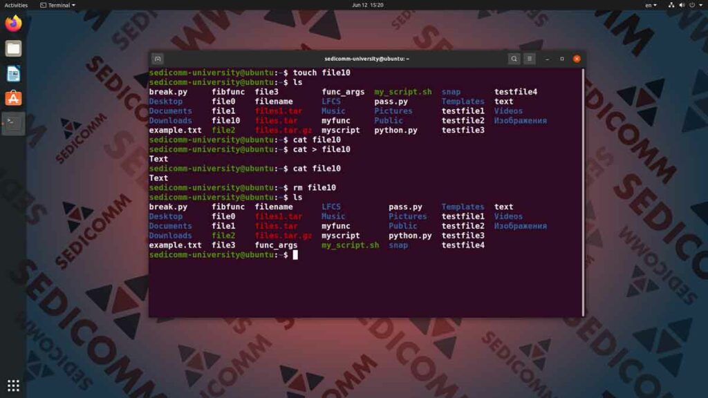7 команд Линукс, которые нужно знать новичку, курсы Linux индивидуальное обучение Ташкент