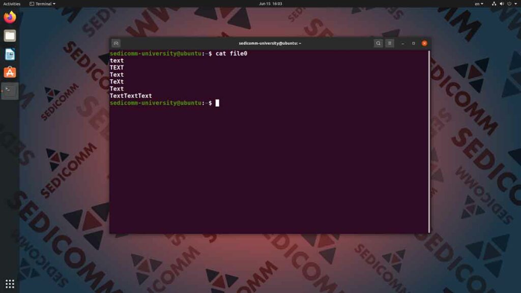 Команды для просмотра содержимого файла в Линукс, курсы Linux индивидуальное обучение Душанбе