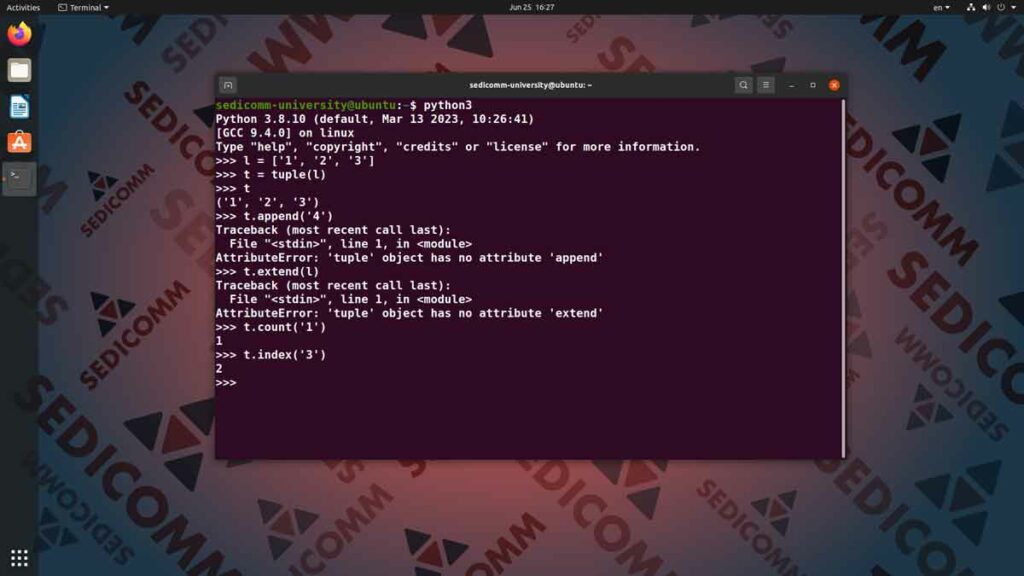 Основы Python для программируемых сетей и систем — кортежи, DevOps / DevNet инженер курсы скачать торрент Алматы