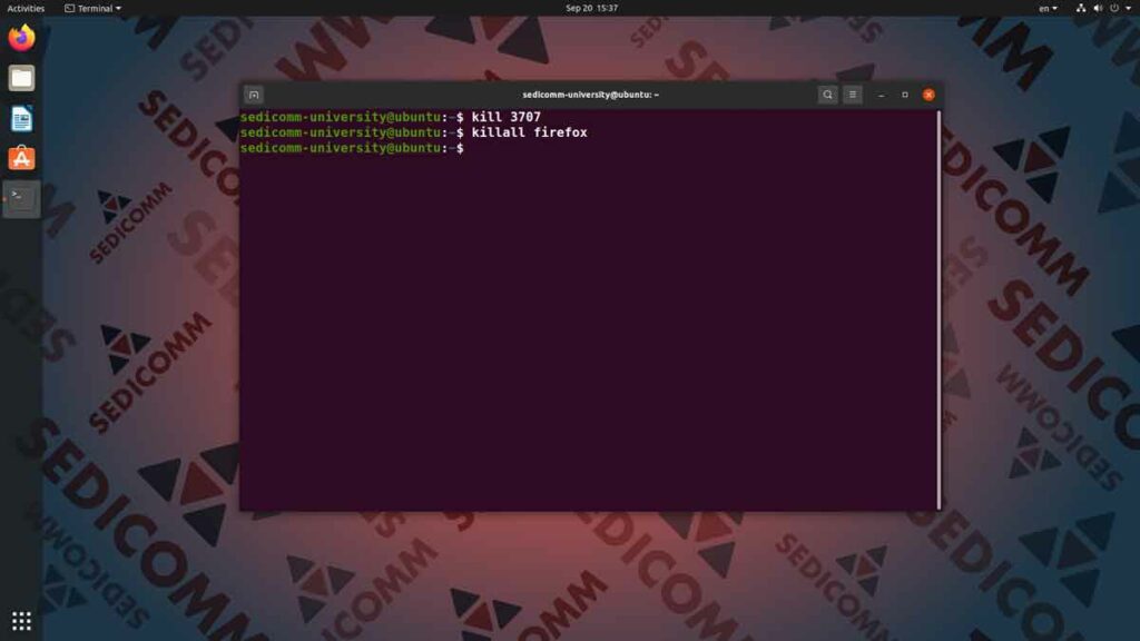 Как завершить процесс в Линукс, курсы Astra Linux Каунас