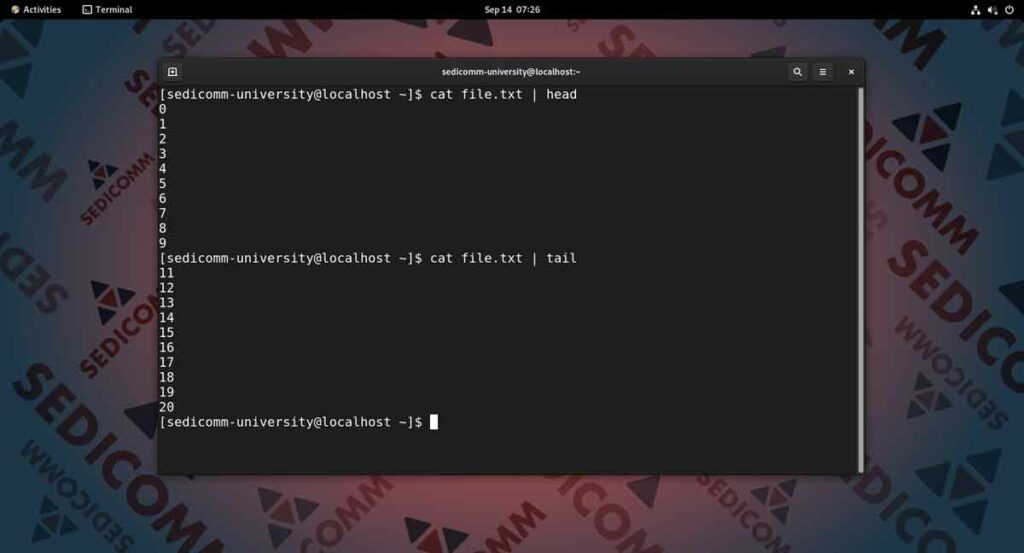 Конвейер команд в Линукс — часть 1, курсы Astra Linux Краков