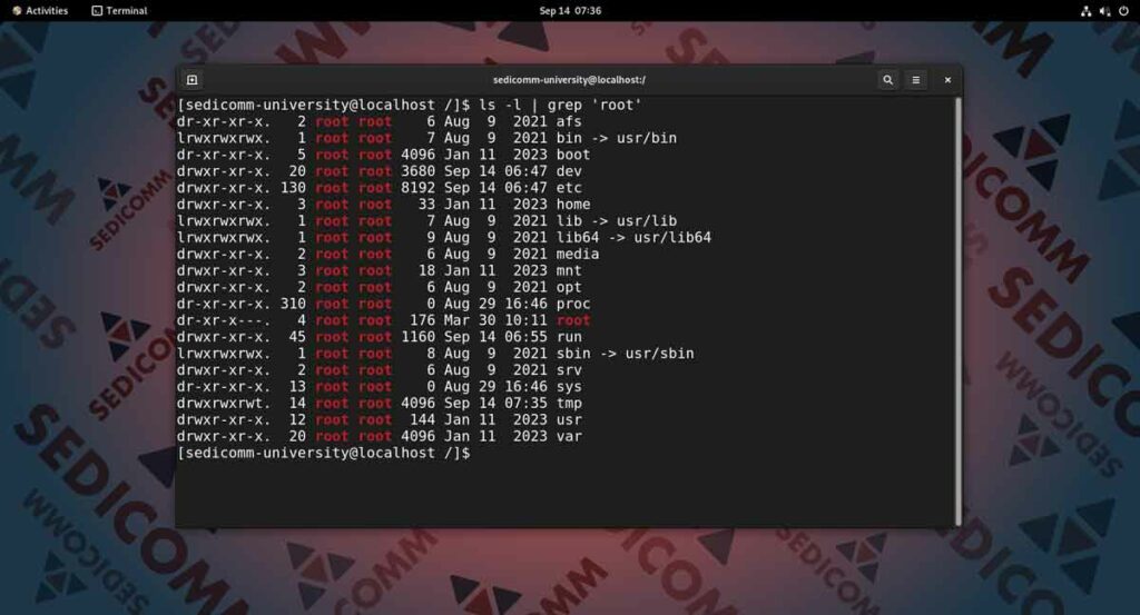 Конвейер команд в Линукс — часть 2, курсы Astra Linux Вильнюс