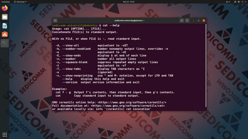 Быстрый просмотр содержимого текстового файла, специалист курс Linux Алматы