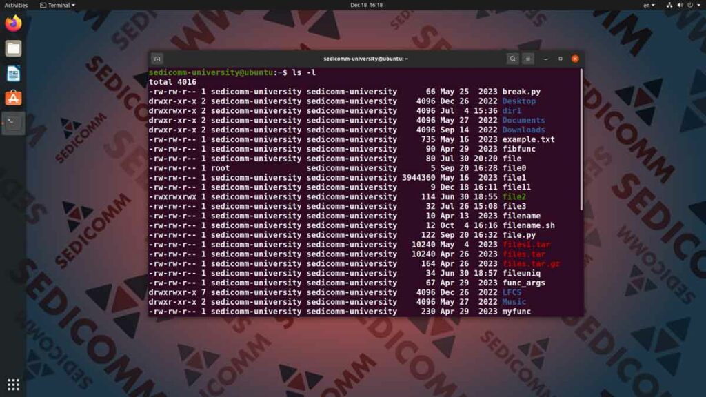 Основы Linux для программируемых сетей и систем — команды chmod и chown, DevOps / DevNet скачать курс торрент Варшава