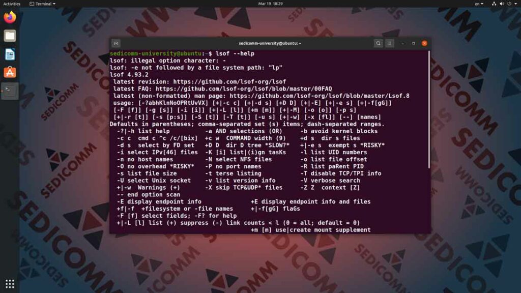 Основы Linux для программируемых сетей — прослушивание порта процессом, ч.2, DevOps / DevNet курс обучения Баку